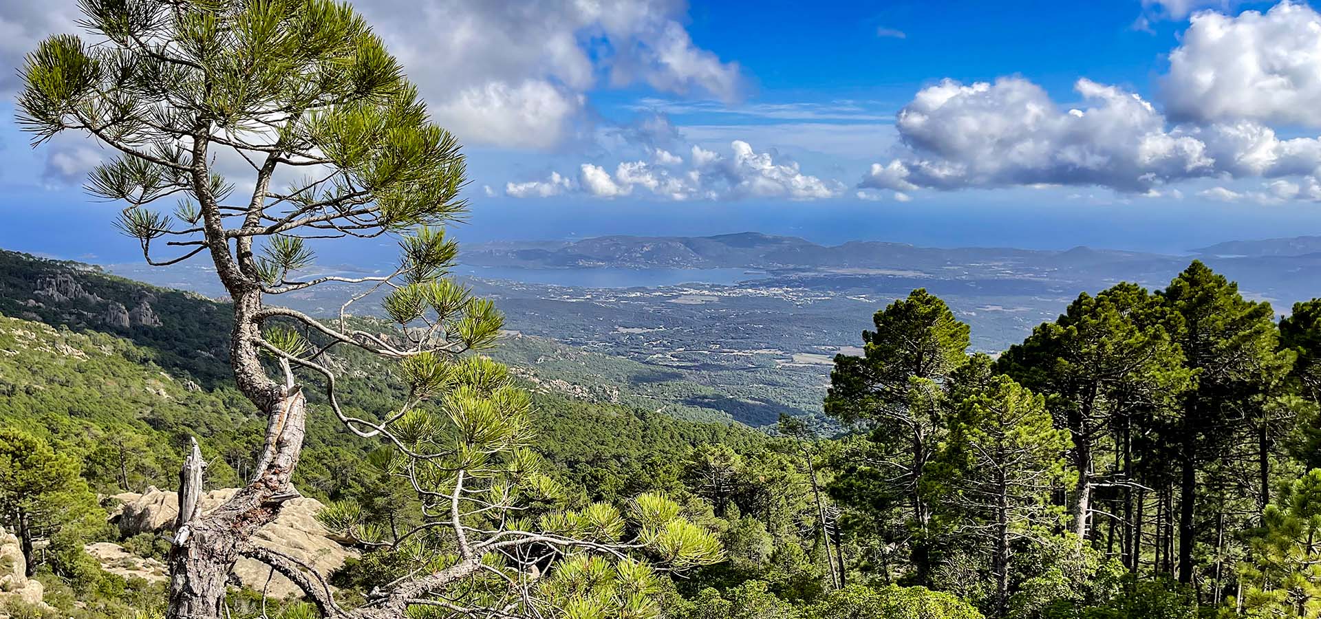 Golfe de porto vecchio vue de la montagne